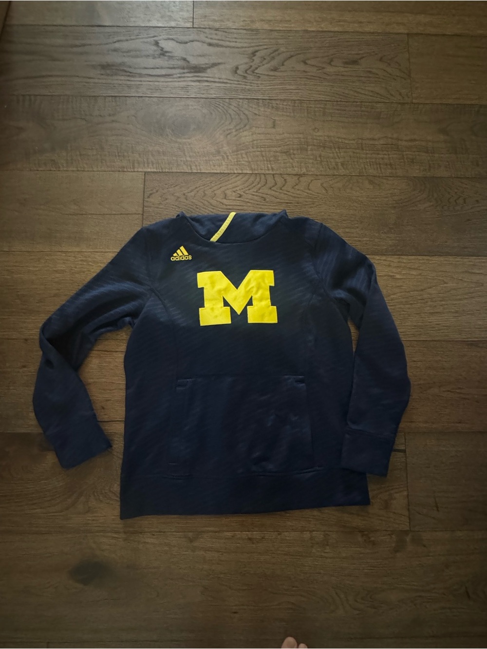 Adidas Michigan Hoodie